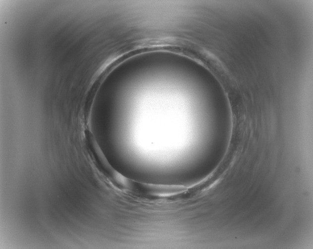 X0000066101457200603171344