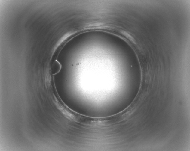 X0000066101458200603171344