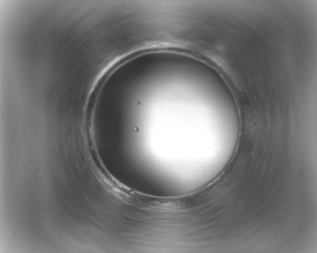 X0000066101460200603171344