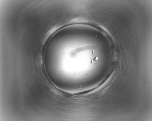 X0000066101461200603171344