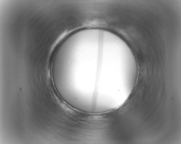 X0000066101462200603171344