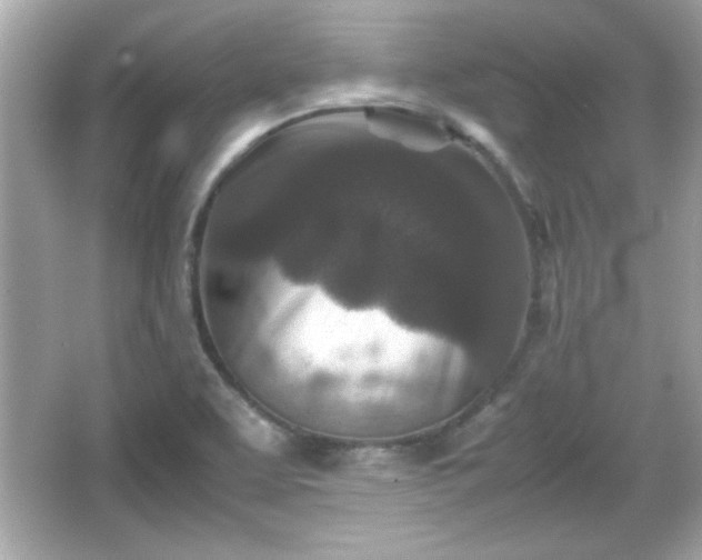 X0000066101463200603171344