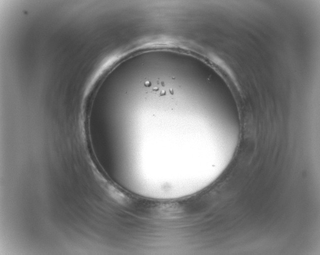 X0000066101464200603171344