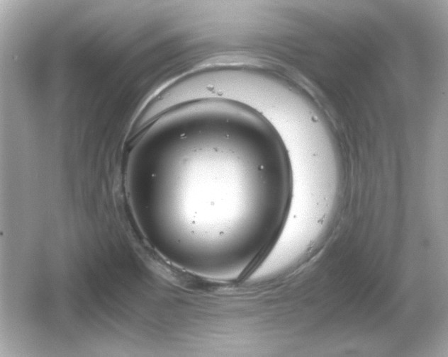 X0000066101465200603171344