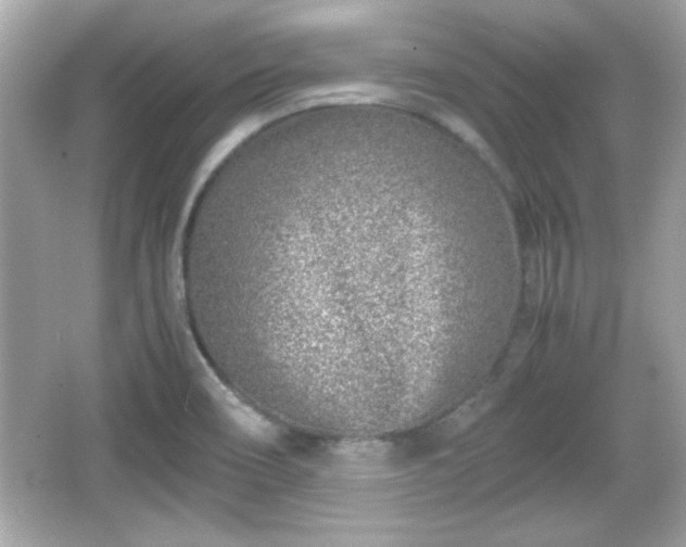 X0000066101466200603171344