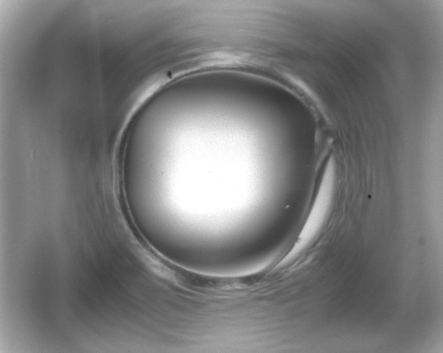 X0000066101467200603171344