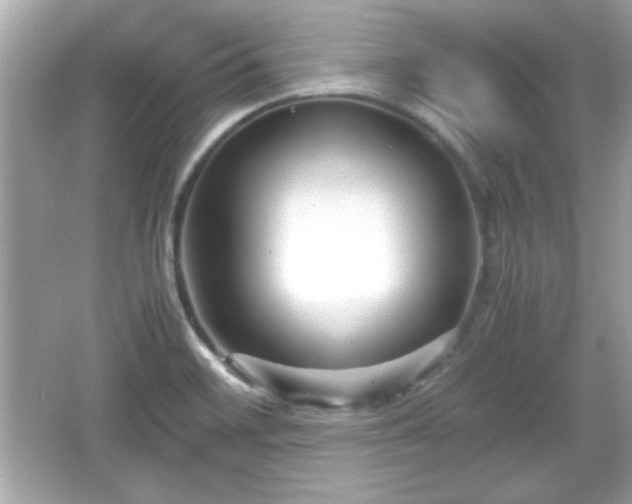 X0000066101468200603171344