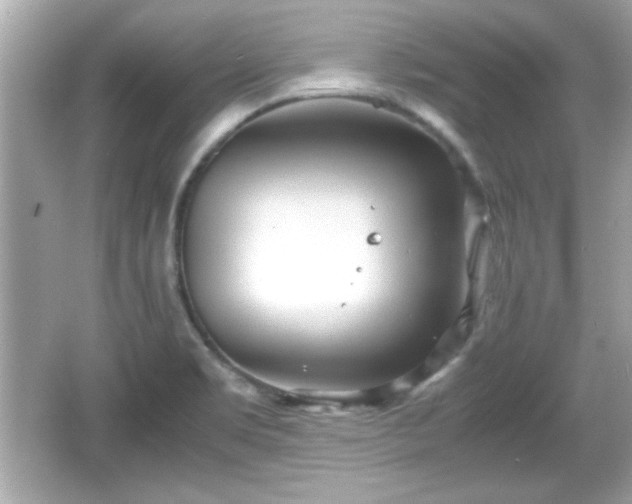 X0000066101469200603171344