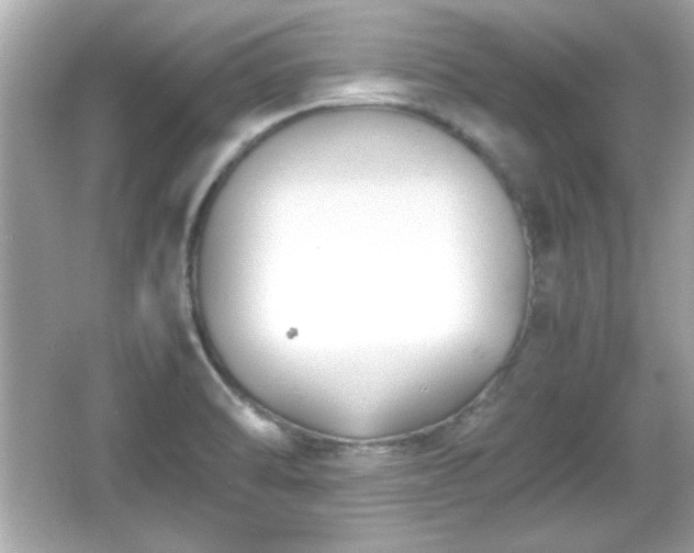 X0000066101470200603171344