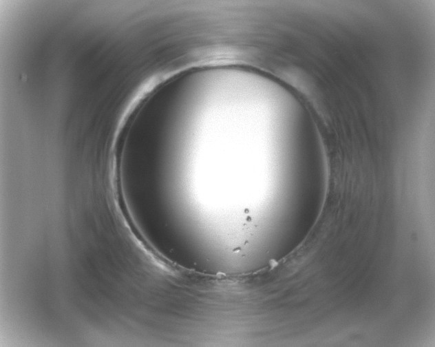 X0000066101472200603171344