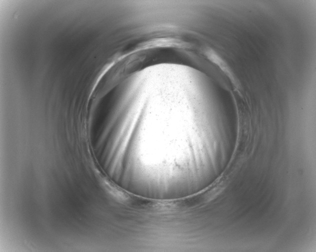 X0000066101473200603171344