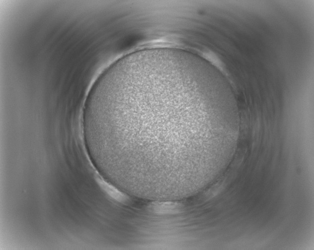 X0000066101474200603171344