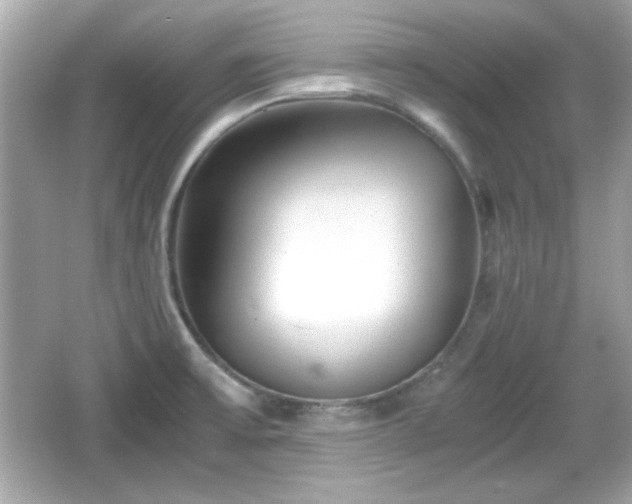 X0000066101475200603171344