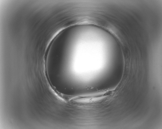 X0000066101476200603171344