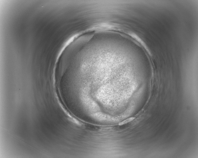 X0000066101477200603171344