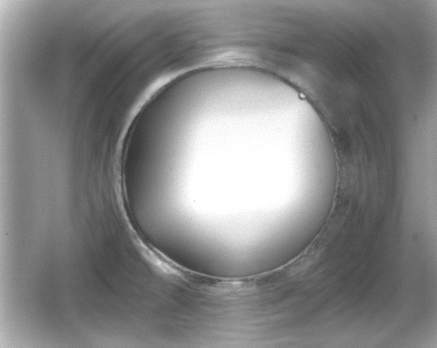 X0000066101478200603171344