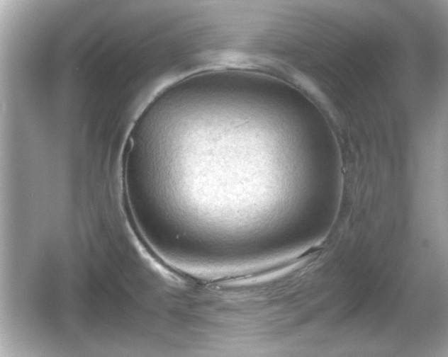 X0000066101479200603171344