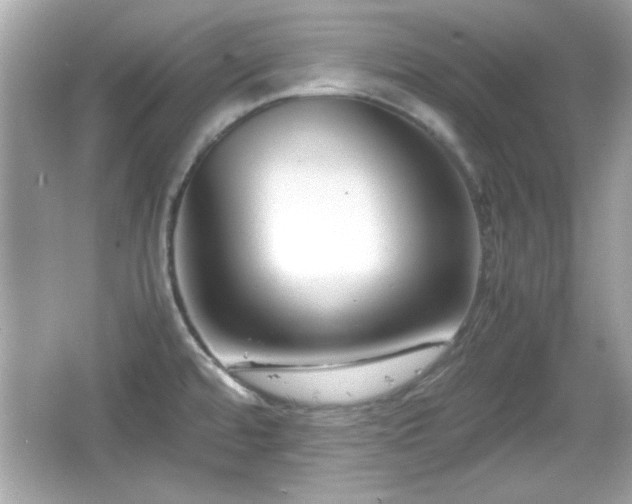 X0000066101480200603171344