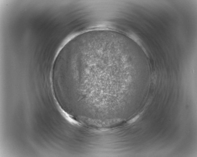 X0000066101482200603171344