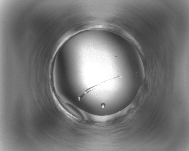 X0000066101483200603171344