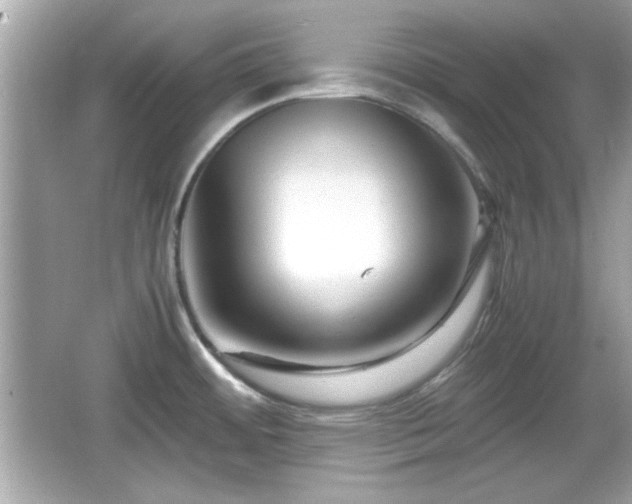 X0000066101484200603171344