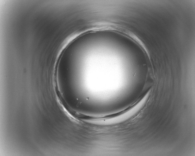 X0000066101485200603171344