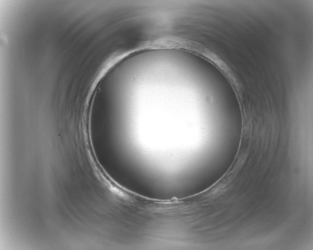 X0000066101486200603171344