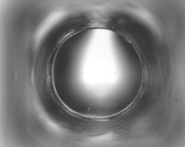 X0000066101487200603171344