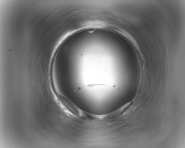 X0000066101488200603171344