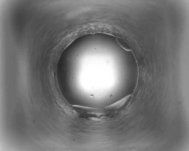 X0000066101489200603171343