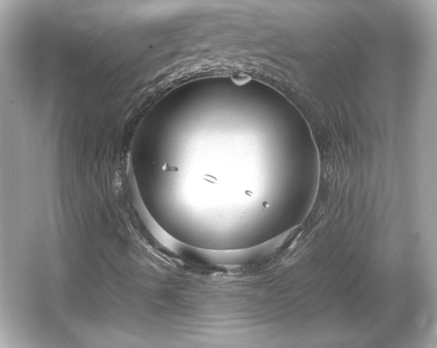 X0000066101490200603171343