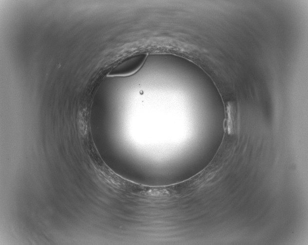 X0000066101491200603171343