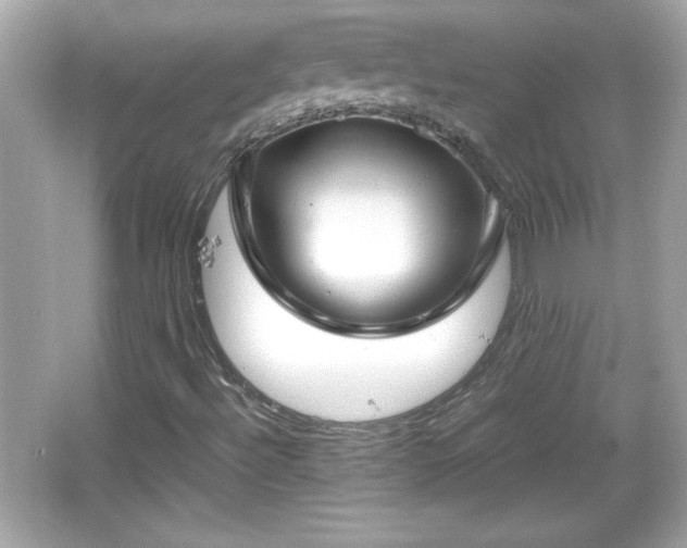 X0000066101492200603171343