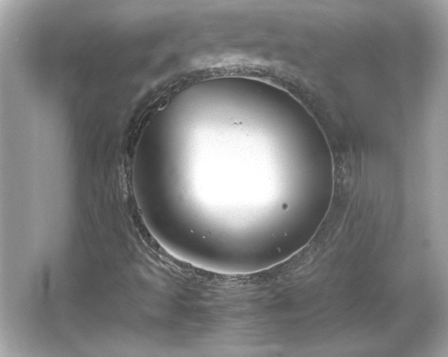 X0000066101493200603171343