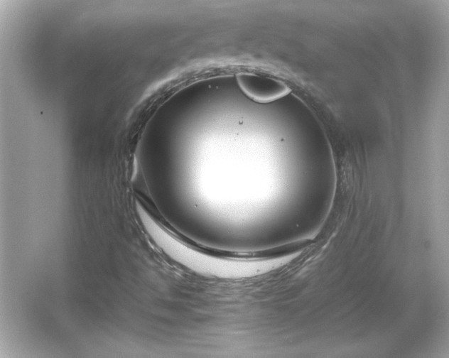 X0000066101494200603171343