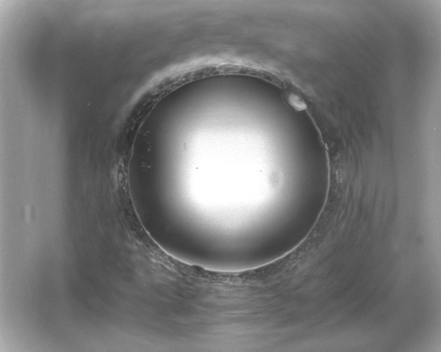 X0000066101495200603171343