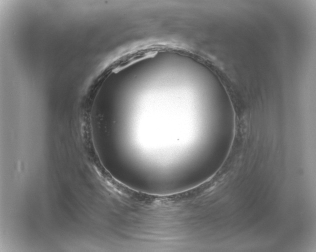 X0000066101496200603171343