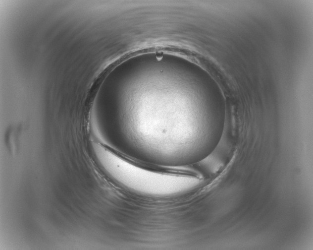 X0000066101497200603171343