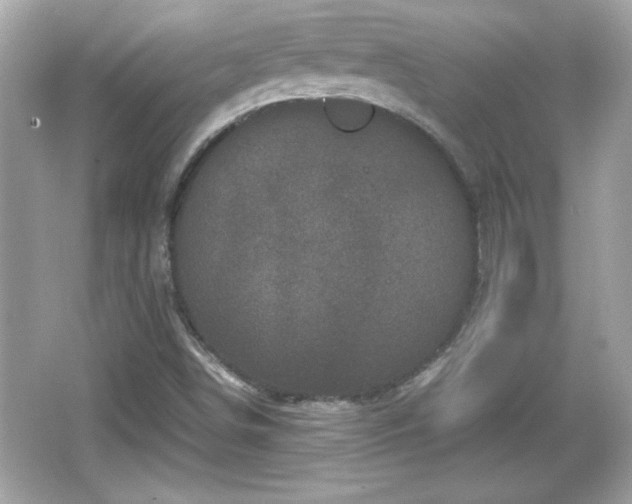 X0000066101498200603171343