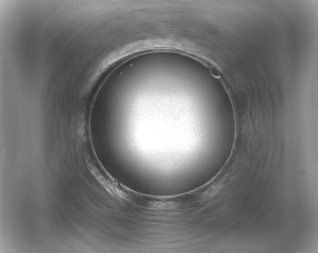 X0000066101499200603171343