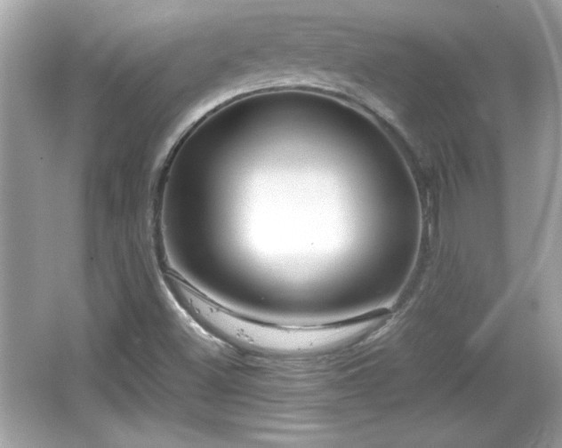 X0000066101500200603171343