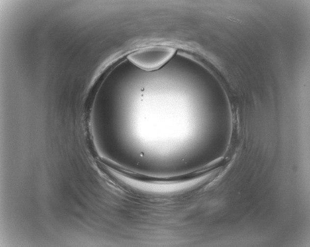 X0000066101501200603171343