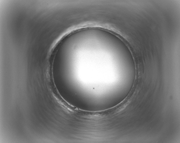 X0000066101502200603171343