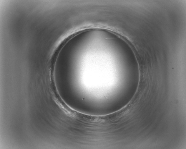 X0000066101503200603171343