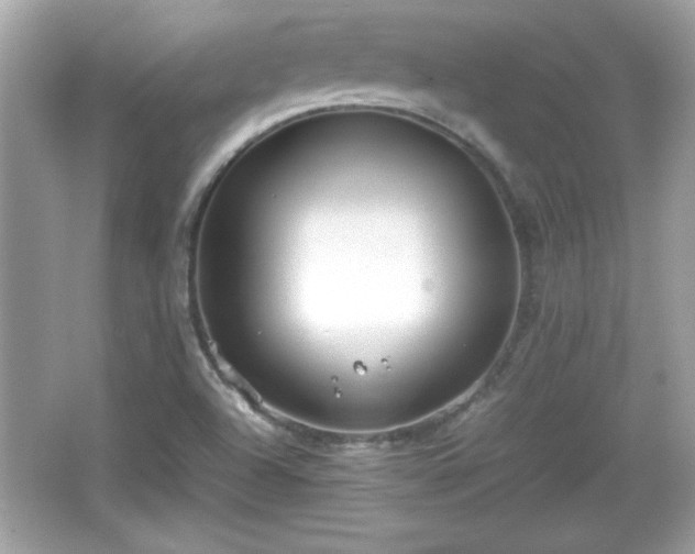 X0000066101504200603171343