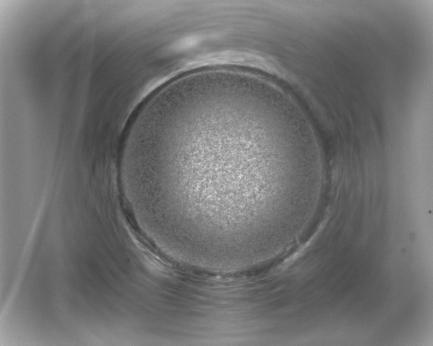 X0000066101505200603171343