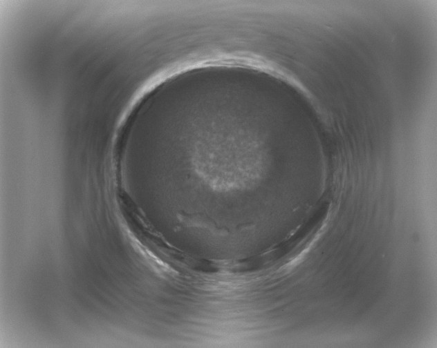 X0000066101506200603171343