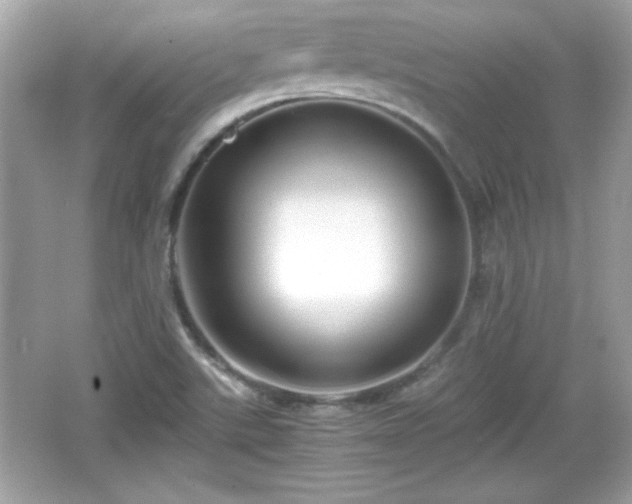 X0000066101507200603171343