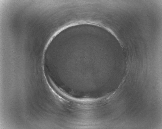 X0000066101508200603171343