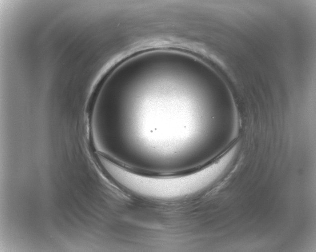 X0000066101509200603171343